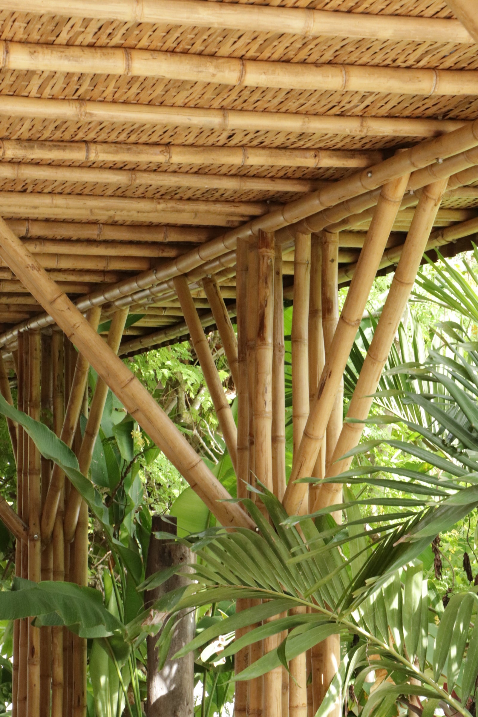Pieles Arquitectónicas