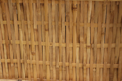 Pieles Arquitectónicas