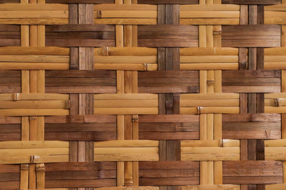 Pieles Arquitectónicas