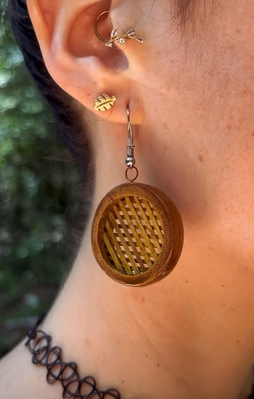 Aretes Waskha
